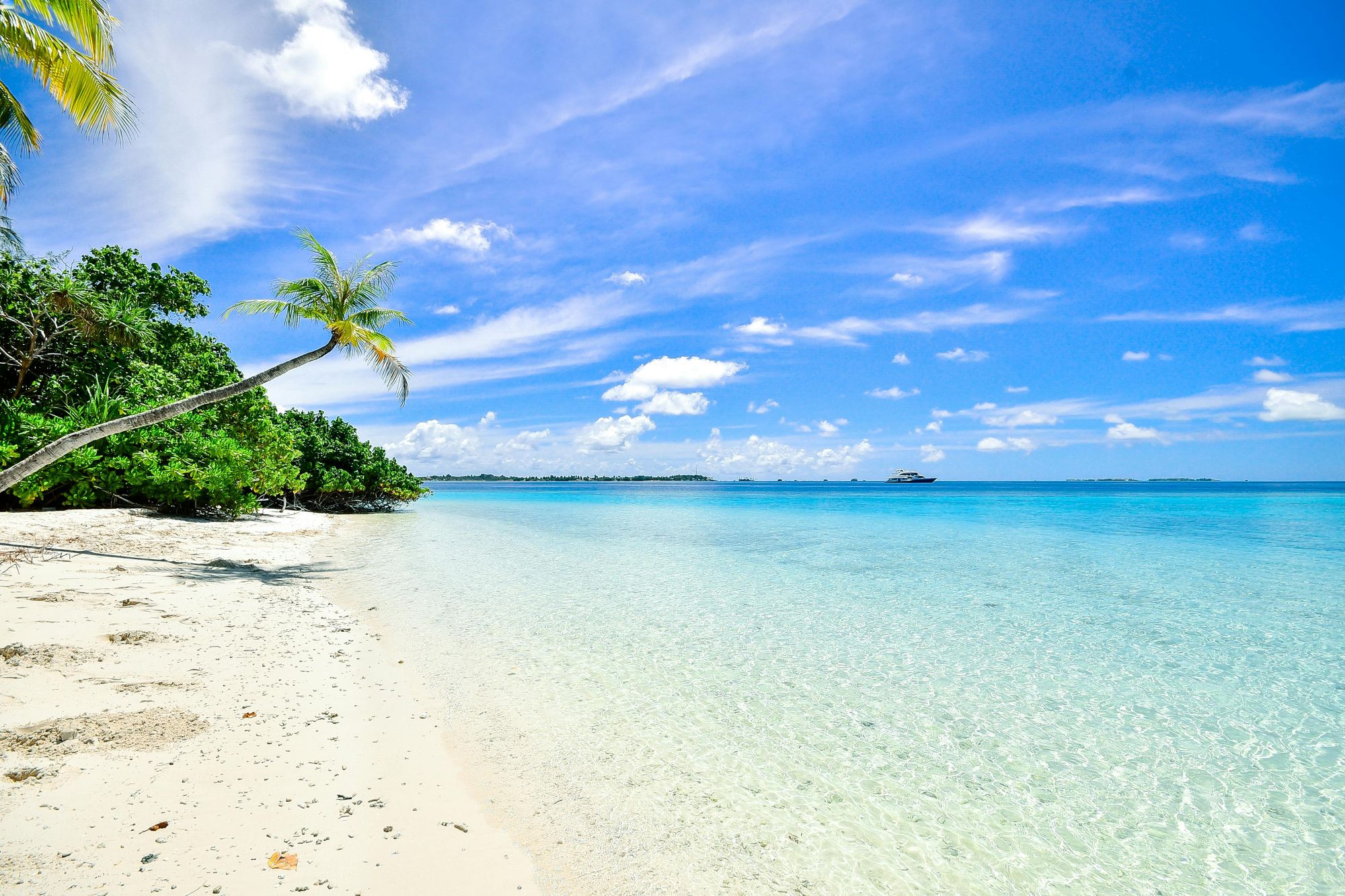 header voyage