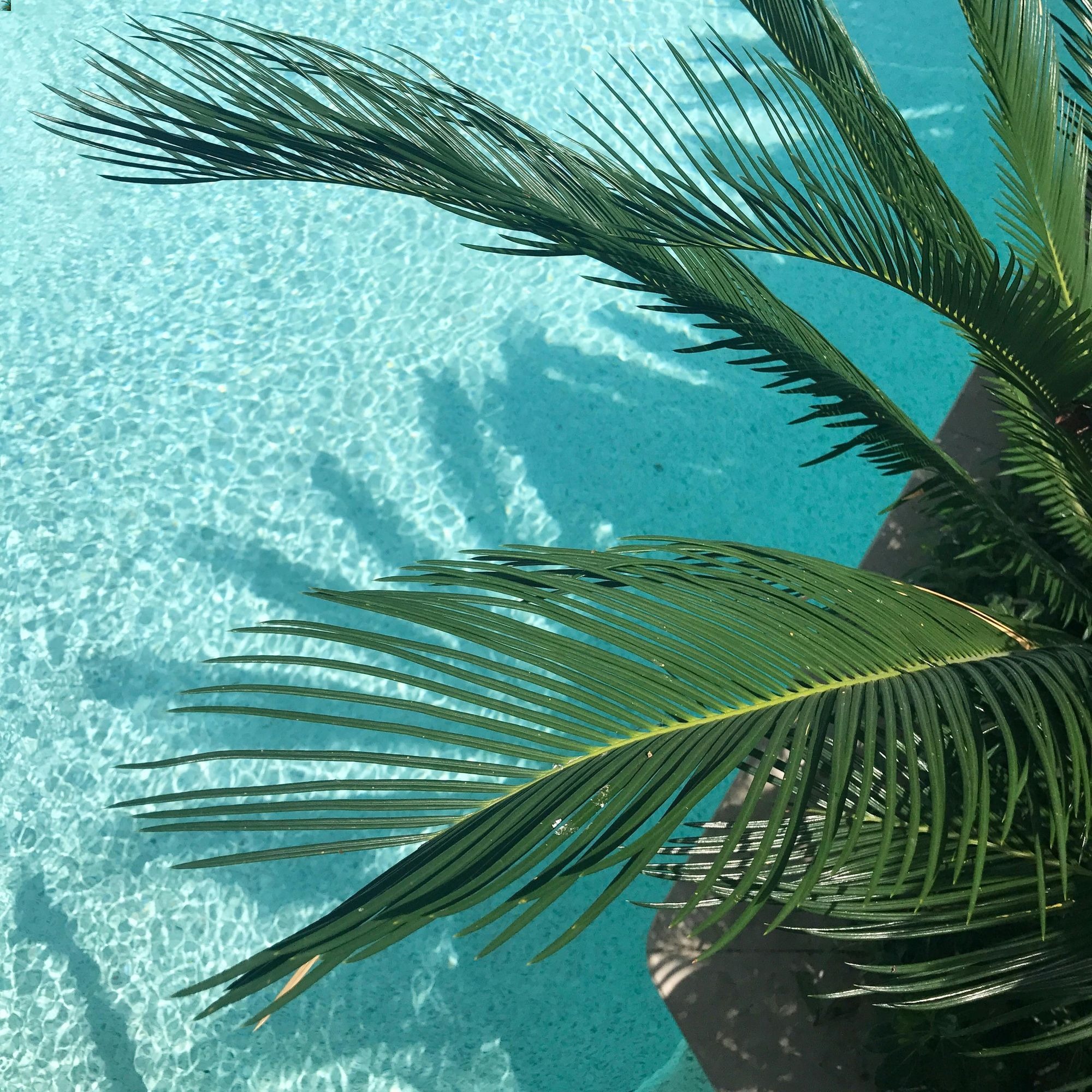 voyage header